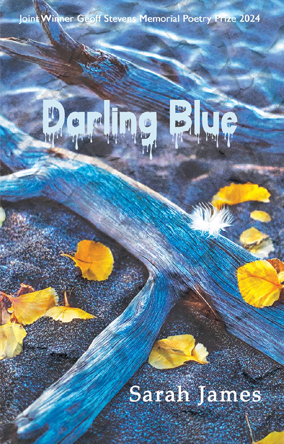 Sarah james: Darling Blue Cover