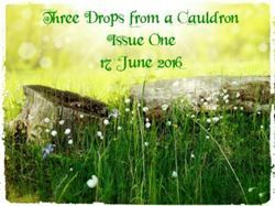 Three Drops from a Cauldron - Issue One