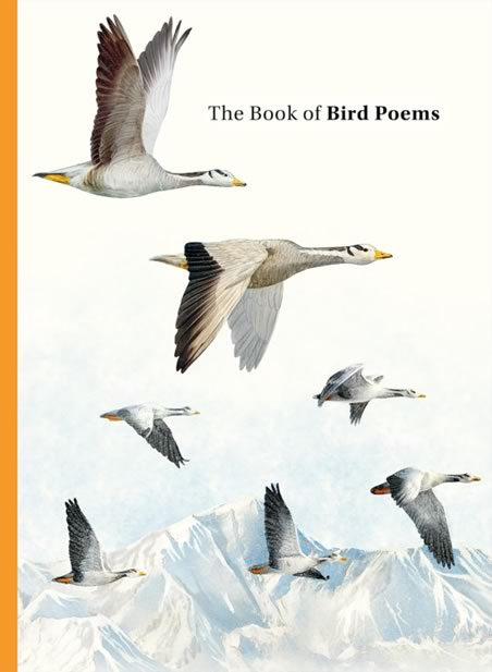 The Book Of Bird Poems 2024