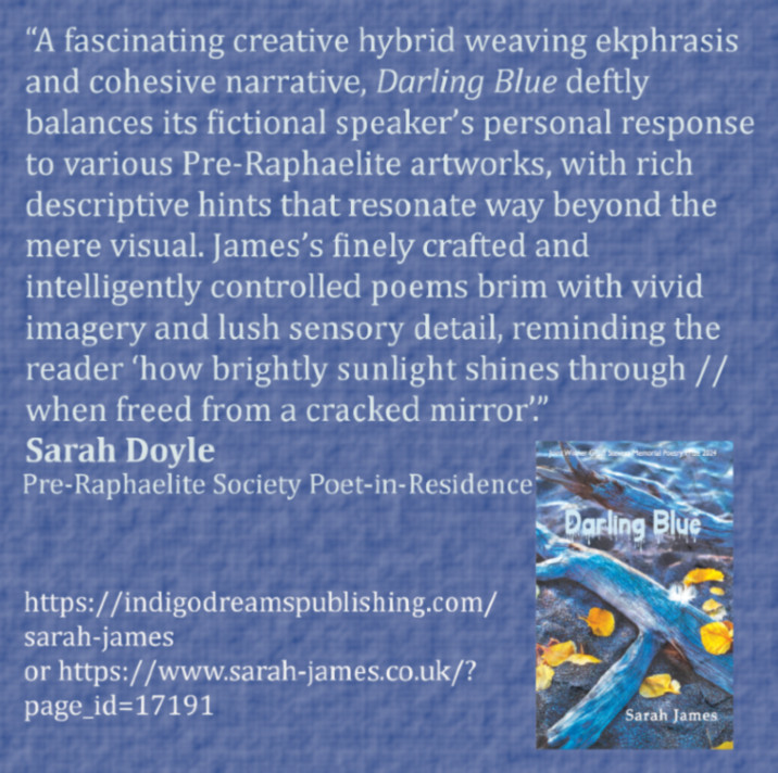 Sarah James Blurb