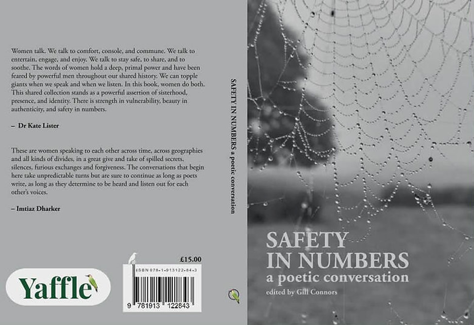 Safety in Numbers, a new anthology from Yaffle Press